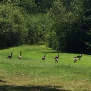 Meet your Posher, Cherece